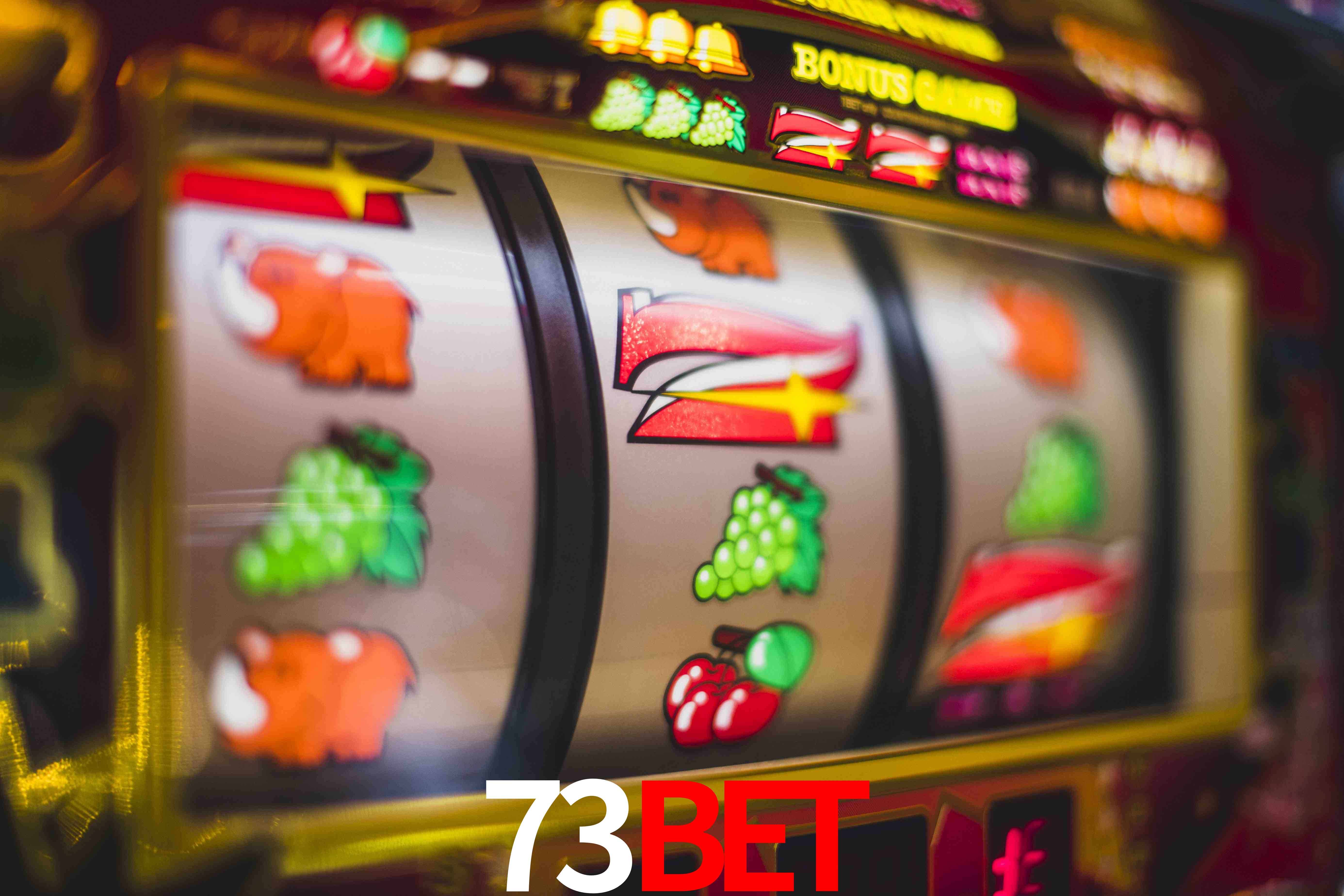 Football Betting 73bet